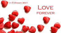 Happy Valentine's Day 2017