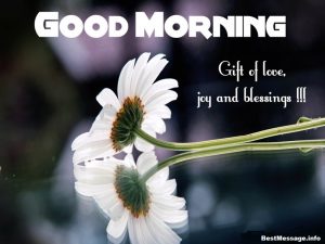 Cute Good Morning sms