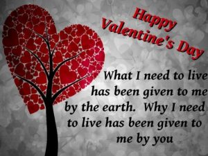 Amazing valentines day images with quotes