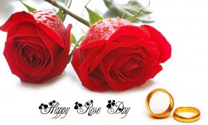 Happy Rose Day Images Free Download