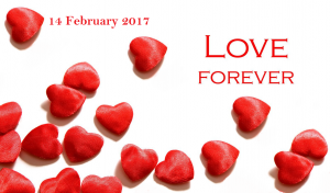 valentines day 2017