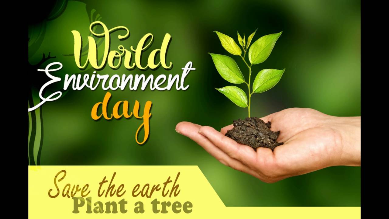 World Environment Day Saying and Quotes - Bestmessage
