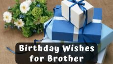 Brother Birthday Wishes From Brother