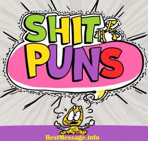 Shit Puns